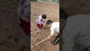 8岁的哥哥带着3岁的妹妹种花生。