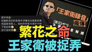 被点炮的视频（这里有）遭删除 ⋯ 不知他成为了谁家的牺牲品？！（11/11/25）#川普 #trump #特朗普 #musk #高市早苗 #关税 #习近平