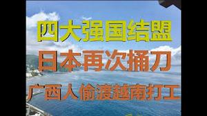 财经冷眼：四大强国结盟，日本出手绝杀，中国人大量逃越南打工，内循环开始！（20200721第289期）