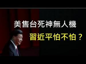 美国将卖台湾七种武器，其中一种为习近平“定制”！ （一平快评163，2020/9/18）