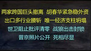 财经冷眼：两大跨国巨头撤离，胡春华紧急开会稳外资！出口多行业腰斩， 唯一经济支柱坍塌！世卫组织批评中国清零，战狼出击！普京照片流出，死相尽显！（20220511第792期）