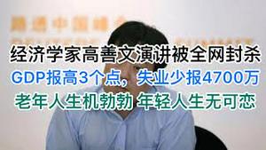 深度解读：经济学家高善文昨天的精彩演讲为何被全网封杀？有哪些猛料？惹恼了谁？(20241203第1316期)