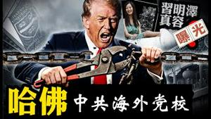 哈佛跟中共有多少罪恶勾结？美国政府整治哈佛，中国外交部为何暴跳如雷？《建民论推墙2700》