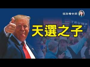 【第146期】圣经明示川普是「天选之子」，美国华人走向街头支持川普，隐居的阿米什人骑牛出来投票川普，民意即是天意。| 薇羽看世间 20200928