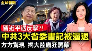 习近平遇反击？中共3大省委书记被逼退；华视大乌龙，误播共军导弹攻台；方方再现，发文控诉核酸检测黑幕；东航空难首个调查报告发布；中国留学生胡言，被美名校取消入学资格【 #全球新闻 】| #新唐人电视台