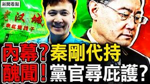 秦刚软著陆内幕？魏凤和祸从口出？党官寻求法国庇护？讲真话遭粉红围攻；唐山打人黑幕被揭，出警警察实名举报【新闻看点 李沐阳8.5】