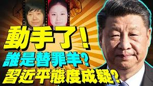 当局动手了！徐州8孩调查组成立，中央背后支招维稳？习近平态度成疑，替罪羊准备就绪？（老北京茶馆/第650集/2022/02/18）