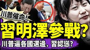习明泽现身给爹当探子？川普逼各国斩中共贸易，北京急换将下跪？习近平新皮肤“特朗普”是啥梗？（老北京茶馆/第1352集/2025/04/17）