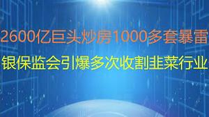 财经冷眼：2600亿巨头暴雷，炒房1000多套！银保监会引爆多次收割韭菜行业！（20210509第524期）