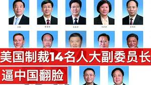 美国制裁14名人大副委员长, 逼中国翻脸(字幕)/US Sanctions Members of China's National People's Congress/王剑每日观察/20201207