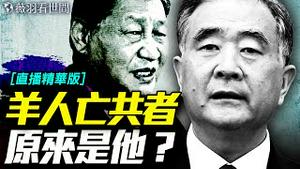 汪洋上位换下习近平？他是羊年生灭共人吗？｜薇羽看世间【直播精华版】 20250610
