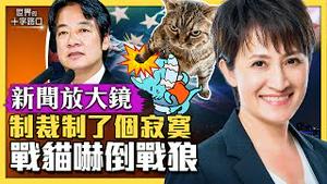 【新闻放大镜】中共制裁萧美琴，台湾战猫吓倒战狼？北京制裁反助「赖萧配」出线？制裁秀空洞无力，反曝中共罩门多？（2023.4.8）｜世界的十字路口 唐浩