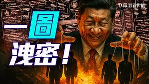 重磅！红色关系网大曝光！枫叶国国家权力核心被严重渗透！｜薇羽看世间 20250415