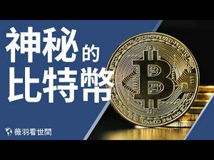 疫情严重经济萧条，为什么比特币和房地产却大涨？比特币是极权的终结还是数字极权的开始？｜薇羽看世间 第258期 20210312