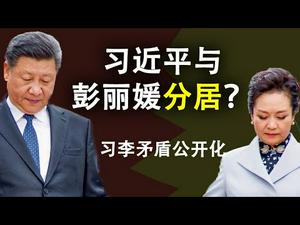 习近平与彭丽媛分居,与李克强矛盾公开化?美国骚乱背后的组织者(政论天下第175集 20200531)天亮时分