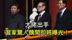 为什么党内精英斗不过小学毕业生习近平？关键在一个战略失误。反攻马上开始，习家惊人丑闻将曝光！ （一平论政2022/10/28)