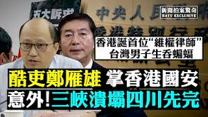 💥症状与武肺极像！鼻病毒疫情蔓延；香港国安法官员就位！“狗官”郑雁雄成头目，现首例检控，被捕十人遭取DNA；三峡排水，溃坝模拟，防洪进入攻坚；中共缺粮开始圈田；日食预兆帝王劫 |新闻拍案惊奇 大宇