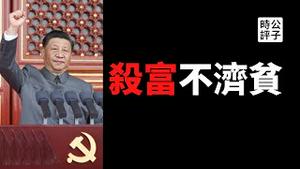 【公子时评】习近平强调共同富裕，吓坏中国富豪！劫富济贫是误判，养套杀才是真相！中共再来一次社会主义改造，又会害惨多少中国家庭？