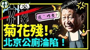 北京公厕辣憋政策来啦！上海强制阳人转阴回家！河南郑州重走上海之路？（老北京茶馆第705集20220504）