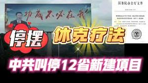 停摆？休克疗法？中共叫停12省新建项目。2024.01.23NO2158