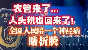 农管来了……，人头税也回来了！全人民陪一个神经病瞎折腾。2023.04.20NO1827@#农管#人头税