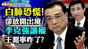 中共急切否定“白肺”来源？！全网质疑声一片；上海再要党员支援前线，这次却是墓地；全国白肺患者普遍，无论年龄；三名中共高官缺席会议，王沪宁咋了？中共突然放宽出境政策，国际被吓到|新闻拍案惊奇直播 大宇