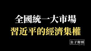 【公子财经】什么是全国统一大市场？中共打造联防联控常态化，习近平不断削藩，强化中央集权！计划经济2.0来了，统购统销还会远吗？