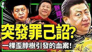 习近平用特殊方式下罪己诏！西南重镇突发舆情：党的接班人是他？35名在以色列中国人求助台湾政府（老北京茶馆/第1032集/2023/10/23）