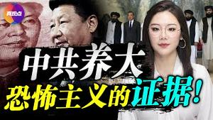 💥中共养大恐怖主义的实证! 为什么美军花20年都打不完也不可能打完“反恐战争”? 阿富汗局势给未来的台海之战以何启示? 真观点｜真飞【20210815】【155期】