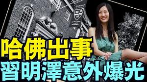 美国土安全部：与中共合作 ⋯ 哈佛被吊销许可的首要最大罪证！《今日点击》（05 23 25）#川普 #特朗普