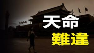 🔥🔥中共喉舌大力报导：天灭中共 ❗抽自己的嘴巴❗ ❗