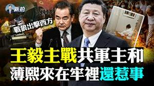 💥习近平怕！谁给了美国武汉基因库？扬州8月，隔离点爆民怨；中共挑衅、美军会100%出兵？北京以“加拿大人头”换晚舟；立陶宛怼共；库默辞职或被拘捕；河北救人者遇难，被救者说他自找｜新闻拍案惊奇 大宇