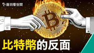 比特币用来操控社会实例之一，谁是纳瓦尔尼的金主。｜薇羽看世间 第313期 20210607