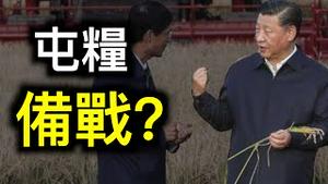 中国为何不计成本进口粮食？溯源报告即将出炉，官媒提前疯狂！