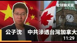 公子沈：捍卫海外华人形象，呵护自由民主！台湾镜新闻专访（全球聊天室）
