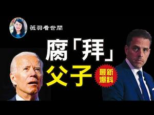 【第162期】又一个硬盘，拜登本人要悬！FBI的举动令人吃惊，涉儿童色情？| 薇羽看世间 20201019