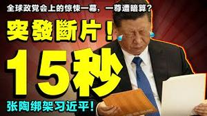 习近平世界政党峰会讲话断片15秒：我说完了？张陶“忠实执行七一讲话精神”绑架一尊？（老北京茶馆/第527集/2021/07/07）