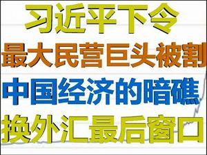 财经冷眼：最大民企巨头被收割！半年经济分析，换汇最后窗口！（20200719第288期）