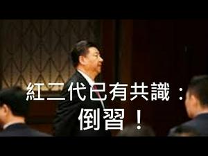 红二代已形成共识：倒习！任志强还活著但终将被害；陈平想“稳变”因误判时局（一平快评107，2020/04/03）