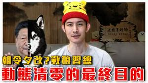 动态清零真正目的原来是？｜习总接收的讯息也是被审查过的！｜粉红特报｜波特王好帅