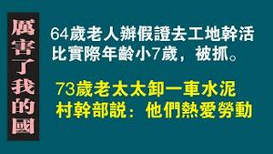 64岁老人办假证去工地干活，比实际年龄小7岁，被抓。73岁老太太卸一车水泥，村干部说：他们热爱劳动。2023.03.02NO1754