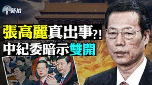 💥习近平一家跟张高丽有私交！这能救他吗？韩正也悬；婚外情定罪有先例；彭帅有机会被控诬告；张高丽身边人快抓光，王岐山曾在他开会时现场抓人；恐怖！河南买肾，两颗打折；李云迪被捕细节｜新闻拍案惊奇 大宇