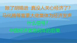 财经冷眼：除了胡锡进，真没人关心经济了？马化腾等富豪大佬集体发声，想造反？中国经济紧急刹车的后果！（20220523第800期）