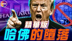 哈佛被禁招收国际学生! 留学生被迫转学! 400年名校, 如何沦落至此？【精华版】