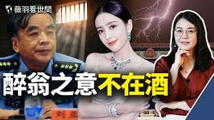 中共权斗升级，网传解放军上将刘亚洲策划军事政变反习近平被抓；佟丽娅再婚习派高官成焦点？｜薇羽看世间 第424期 20211223