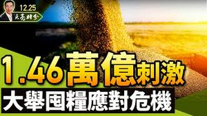 放水1.46万亿，拖延危机到20大以后；养老金告急，中共大举囤积粮食（政论天下第575集 20211225）天亮时分