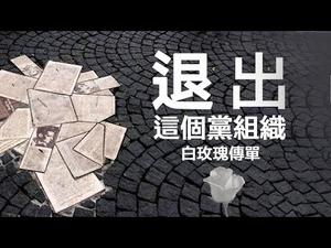 《白玫瑰第五份和第六份传单》：纳粹统治下的白玫瑰组织成员号召德国人民觉醒，“反对这个党，退出这个党组织”（历史上的今天特刊 20191108第5期）