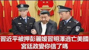 宋平为首的中共元老软禁习近平，习下李上成功了，彭丽媛习明泽逃亡美国了，宫廷政变了，你信了吗？《建民论推墙1775期》