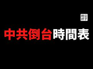 【公子时评】中共倒台时间表正式出炉！灵感来自中国外交部，特别鸣谢党媒《文汇报》！外交部副部长乐玉成和军事专家王飞云联合炮制“台湾回归时间表”？