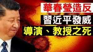 华春莹领衔造反？习近平发威整肃官场？导演和顶尖教授接连死亡，武汉女义士怒吼！（老北京茶馆/第248集/2020/02/16）